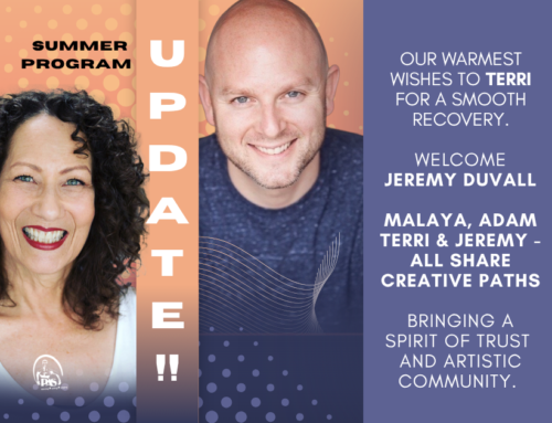 Sommer Program Update!!